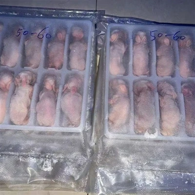A fagyasztott egerek jellemzői a kígyók számára