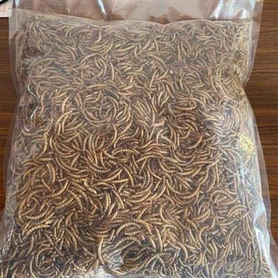 Milyen alkalmazásokkal jár a szárított tücskök a madarak számára?