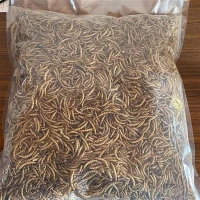 Bio szárított étkezésférgek